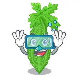 苦瓜造型卡通矢量斜面跳水照片