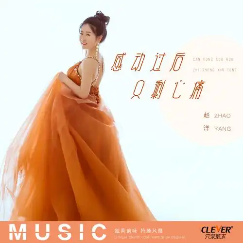 感动过后只剩心痛_赵洋_高音质在线试听_感动过后只剩心痛歌词|歌曲