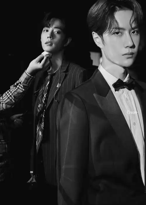 博君一肖肖战王一博