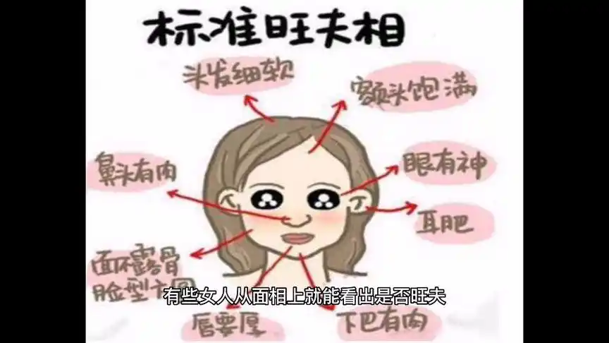 江湖话说的个人主页 - 西瓜视频