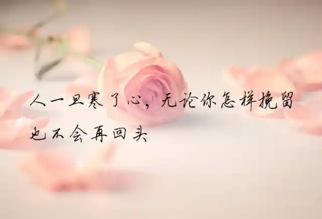 人一旦寒了心就算再舍不得也会放手作者昕月蓝殇