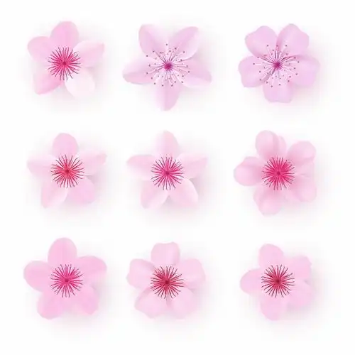 9款粉红色的桃花花朵花瓣png图片免抠矢量素材