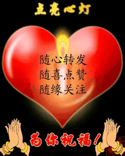 让人看了就静心的图片一组让人一看就心静如莲的佛图片