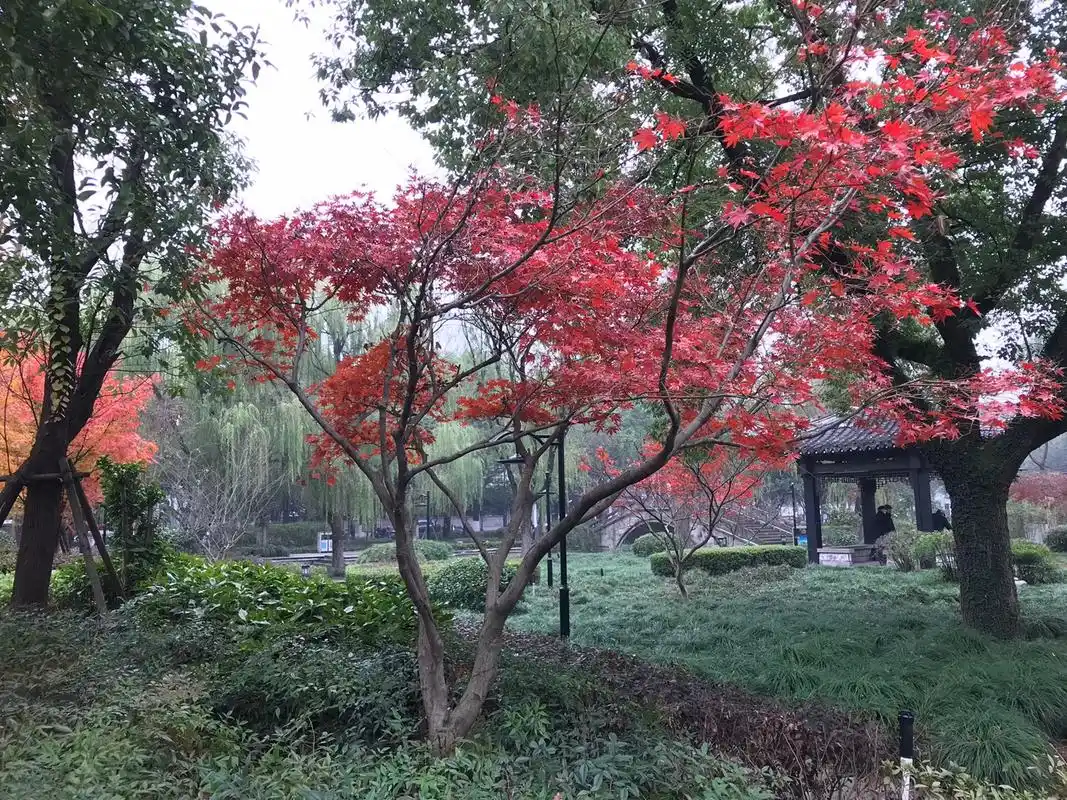 曾经以为,爱情很简单,两个人真心相爱,就是一生的情缘,可是后 - 抖音