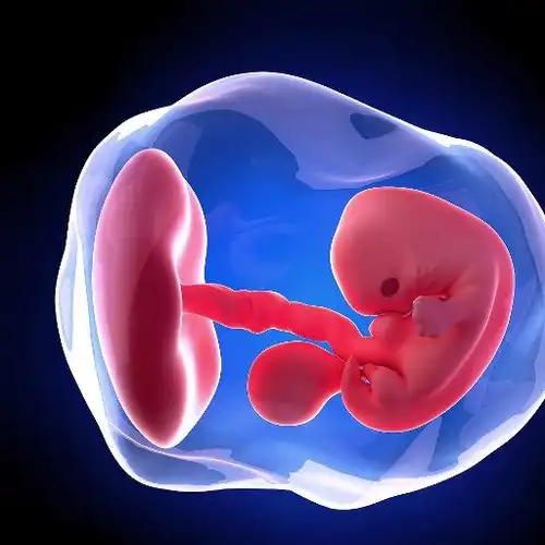 孕4个月的胎儿会动吗?这时候的胎宝宝又是怎样活动的?