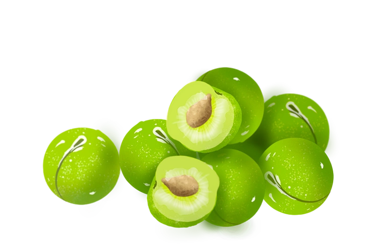 青皮李子|插画|创作习作|pigtruman - 原创作品 - 站酷 (zcool)