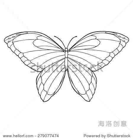 蝴蝶艺术线条插图