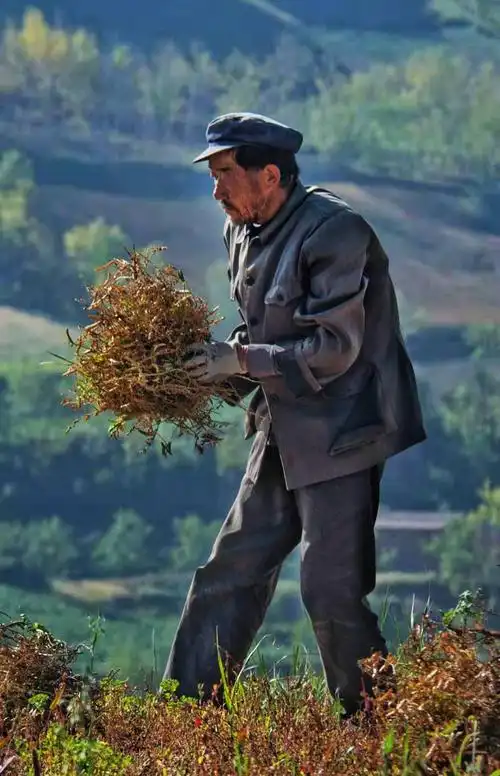 《父亲·九月》