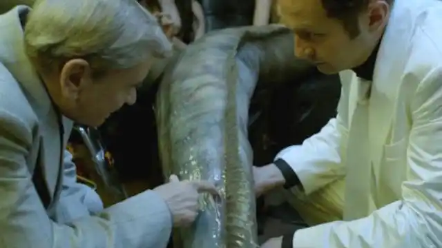 一部美国奇幻电影黑帮老大抓到一条美人鱼却检查功能是否完好