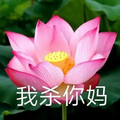 沙雕荷花头像今日限定点赞暴富