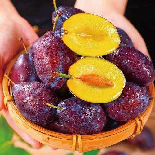 正宗进口智利西梅李子净重1斤