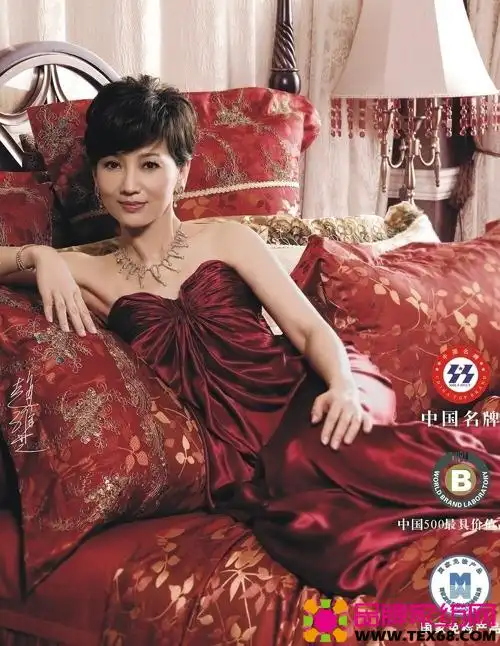 博洋家纺图片 明星代言完美呈现(2)