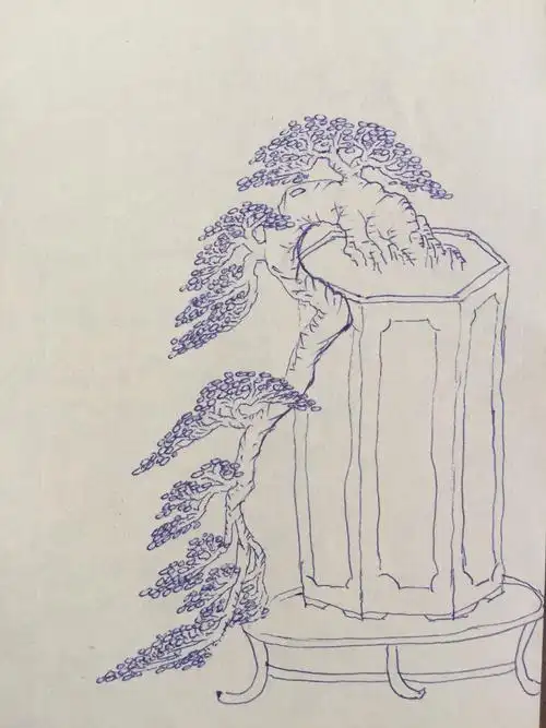 我的手绘盆景图