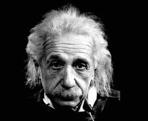 世界上智商最高的人排名盘点历史上最聪明的十个人3