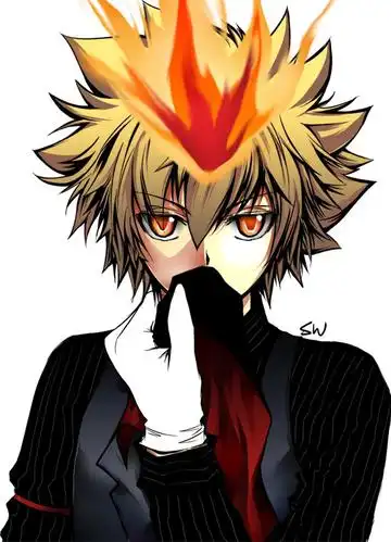 谁能发几张霸气的家庭教师的图片啊.