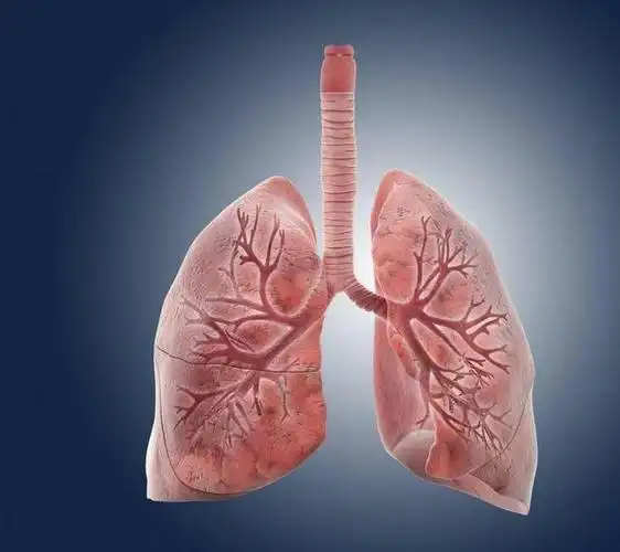 男子抽烟26年,肺脏依旧很红润,内科主任:这4个习惯,值得借鉴|尼古丁