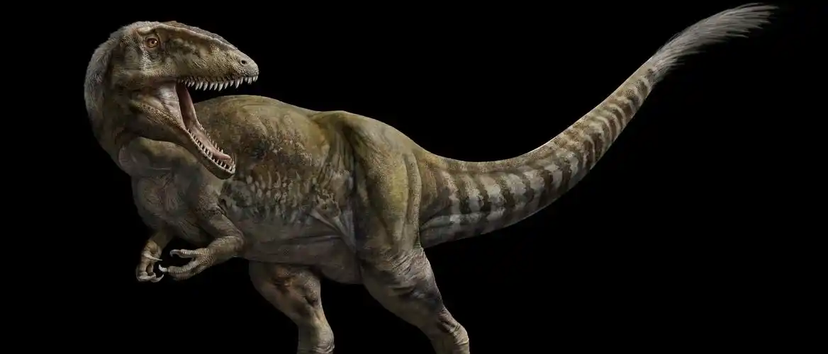 pnso赵闯杨杨全新作品鲨齿龙模型全网首发