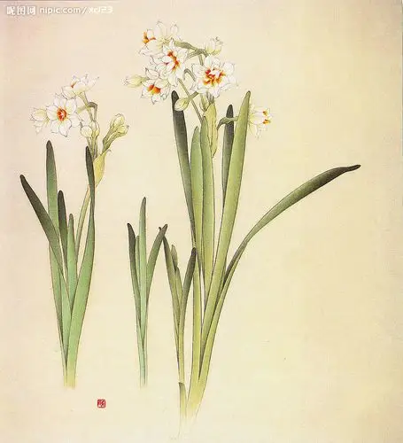 凌波水仙设计图__绘画书法_文化艺术_设计图库_昵图网nipic.com