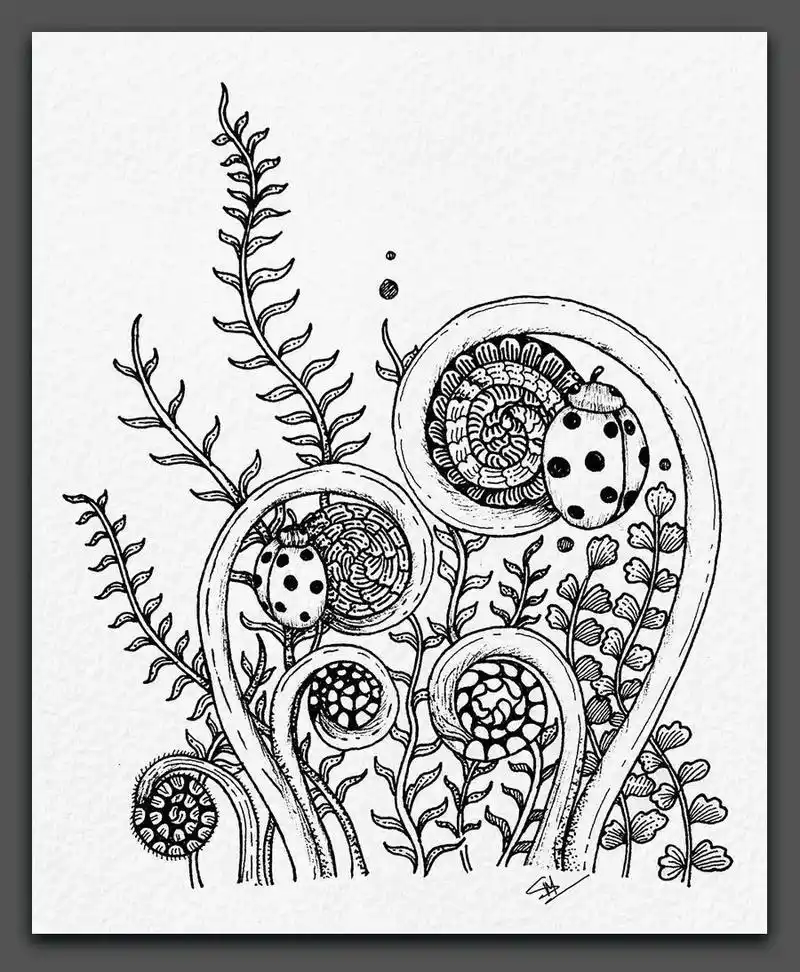 创意儿童画|超赞的黑白装饰画,感受线条的魅力!