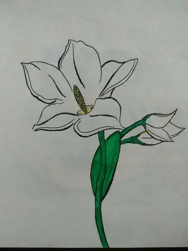 初一37班《单独纹样》作品集