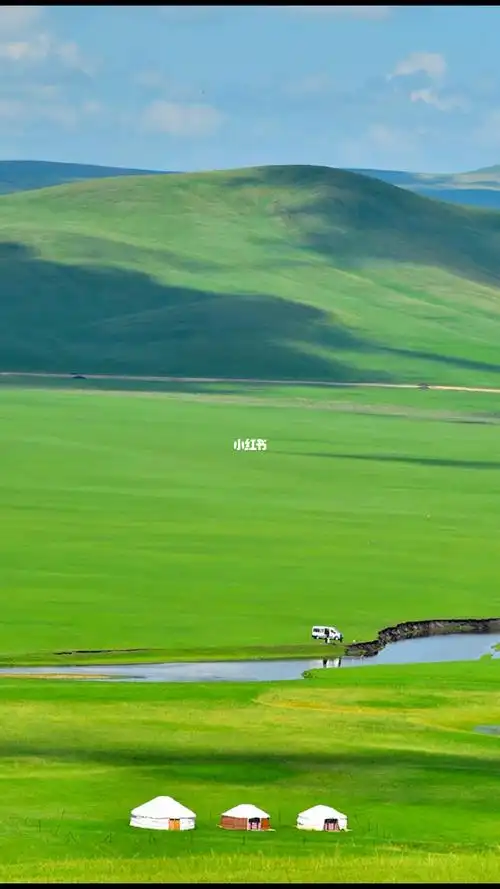 你见过一望无际的大草原吗你看过成群结队的牛羊吗铺满大地的碧绿青草