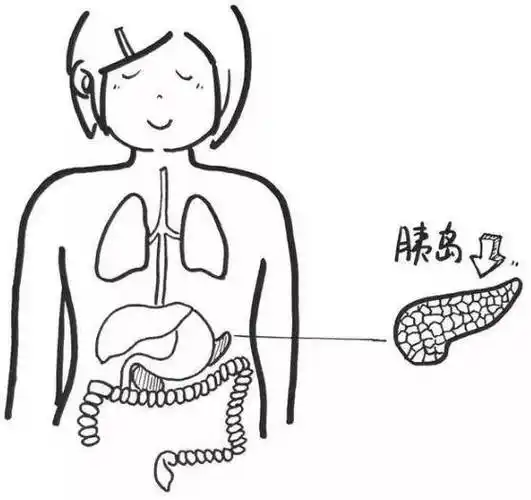 尤其是老年人几乎威胁着人们的健康还有一些其他慢性代谢疾病高血糖
