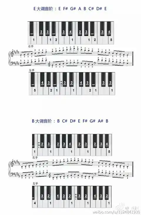 钢琴五种基本指法