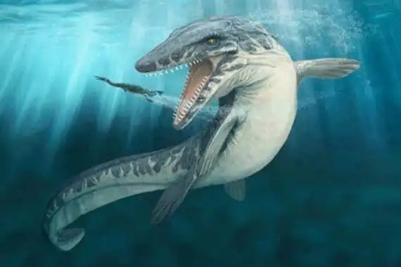 沧龙:中生代体型最大的海洋爬行动物(最长17.3米)