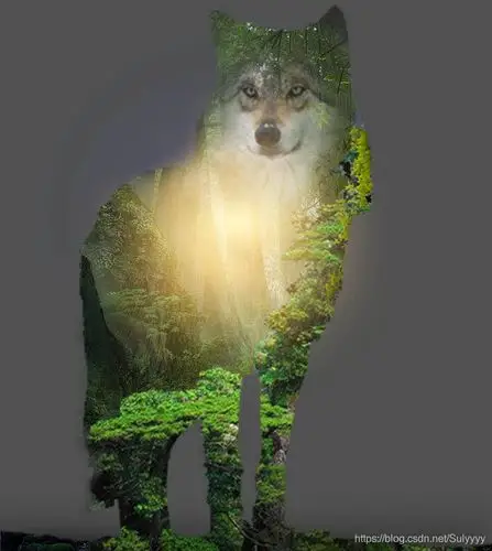 12.14 ps临摹作业