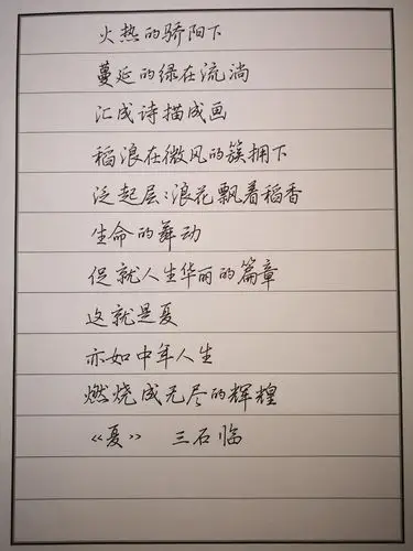 2019唐玉庆网络行书班硬笔书法迎春展