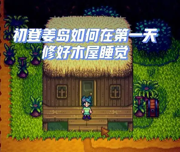 星露谷物语初登姜岛如何当天快速修木屋入睡