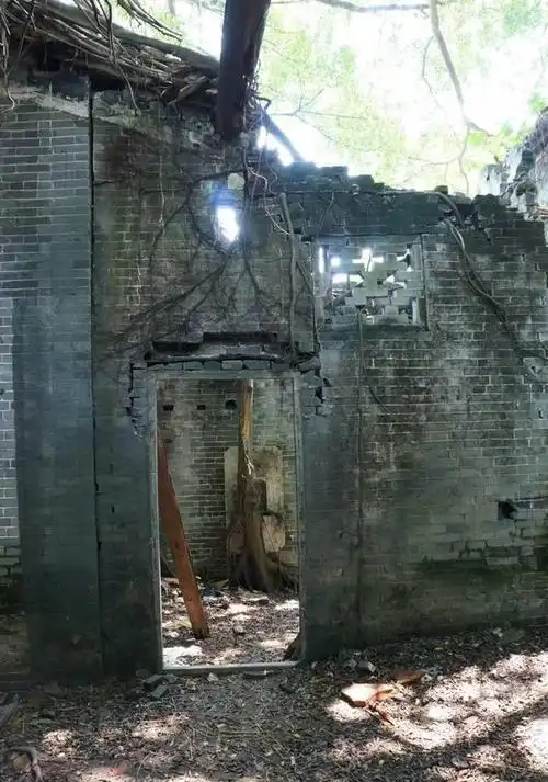 最恐怖的无人村广东开平无人村荒废20年不见天日