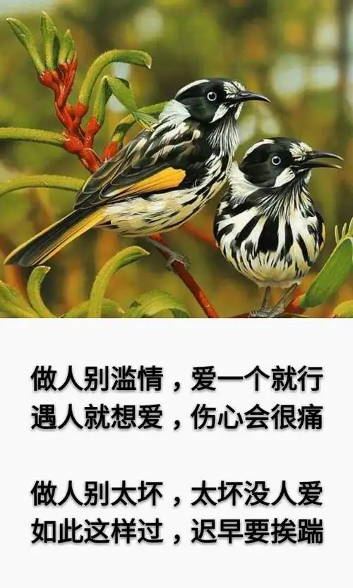有钱身后一群狗,没钱社会路难走;狗不能喂得太饱,人不能对得太好!
