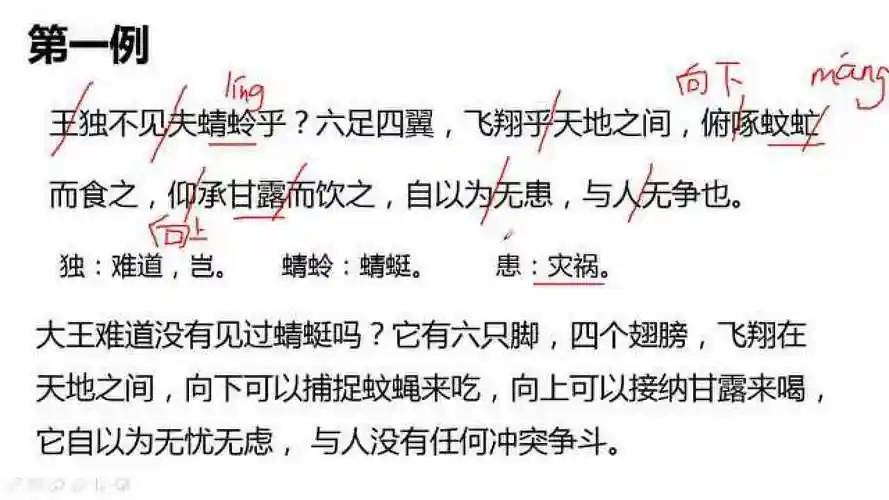 《亡羊补牢》小古文讲读(er)_腾讯视频