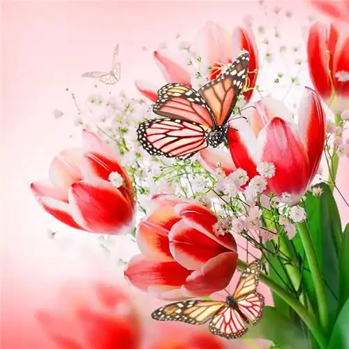 花开富贵头像 适合妈妈们用的高清好看花开富贵图片微信头像_微信头像