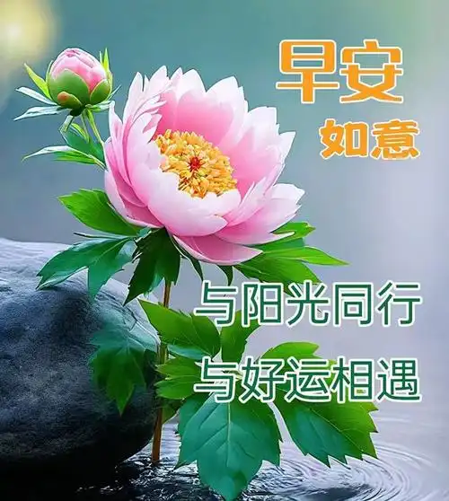 20231114早安精选祝福带字问候语短句子大全吉祥安康