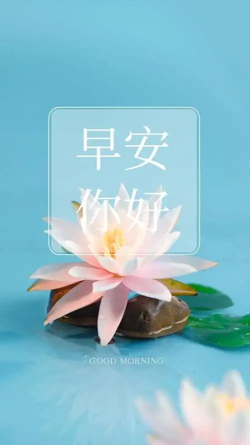 早安自律阳光的图片语录:别辜负人生,别亏待来路