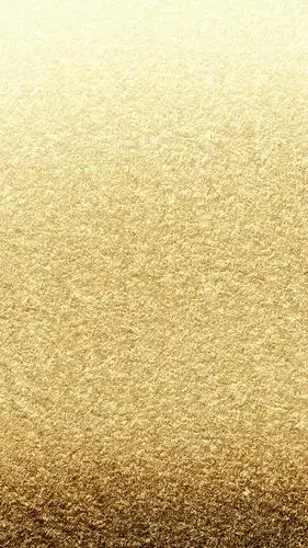 金色磨砂质感元素