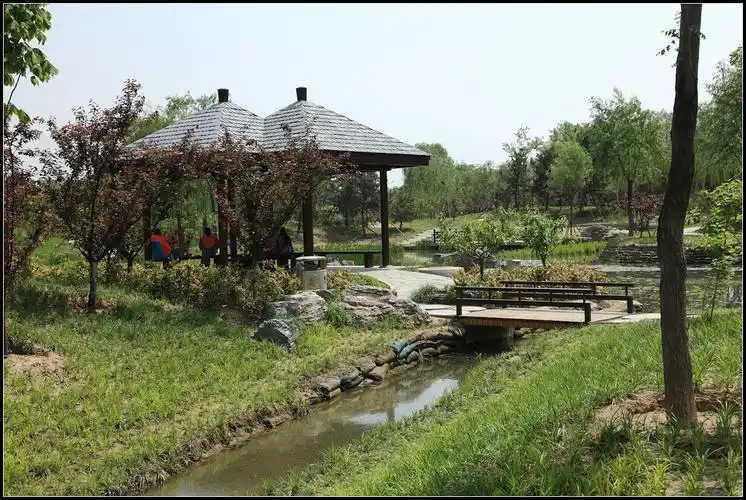 bei北京海淀区巴沟山水公园随拍