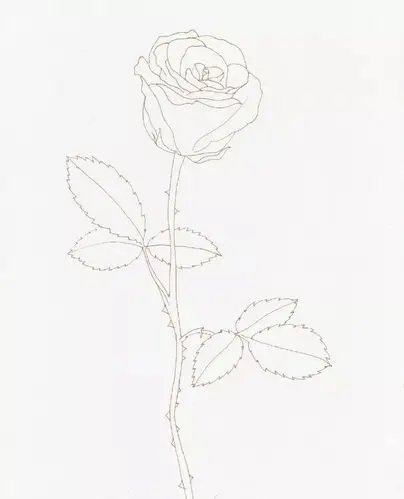 step1:首先我们要先起线稿,玫瑰花瓣层次有点多,也可以打印出来(本次