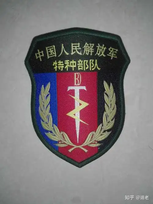 带着特种部队臂章的"特种部队"居然在带军训?
