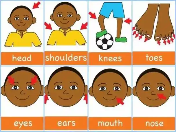 比如《head shoulders knees &toes》这首童谣,内容用手部舞蹈动作指