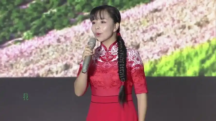 王二妮《荞麦花》定边演唱会现场版!