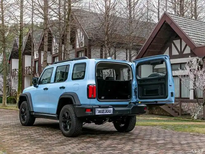 长城汽车 坦克300 2021款 2.0t 致敬莫奈限定版