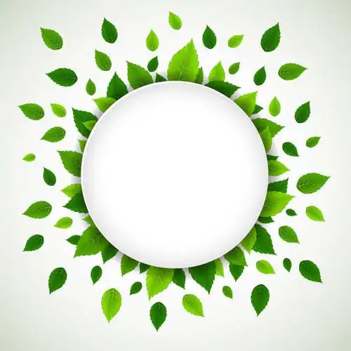 树叶背景与白色文本的矢量背景