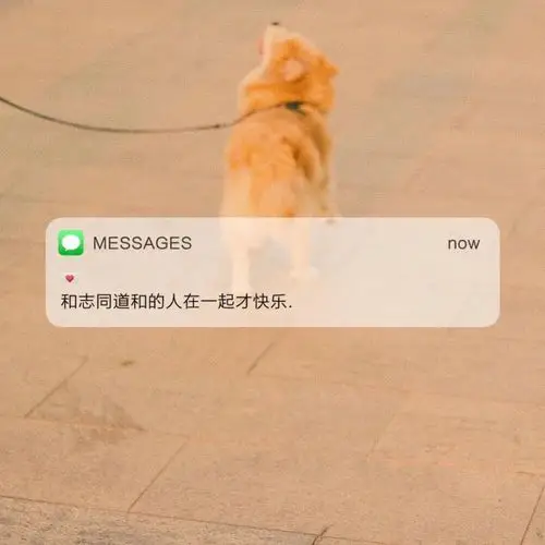 朋友圈消息背景图愿2021全糖去冰