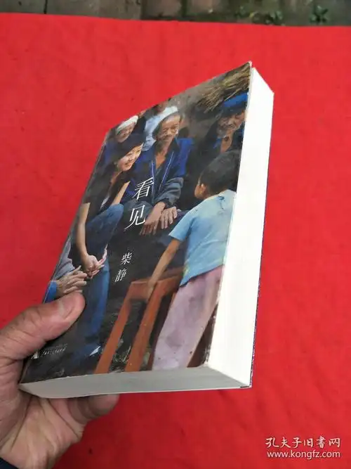 看见(柴静)