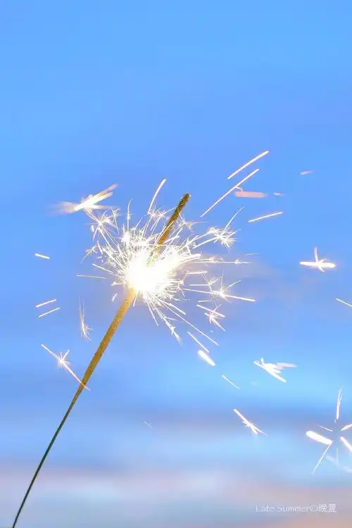 夏天的风是海盐味的浅蓝色