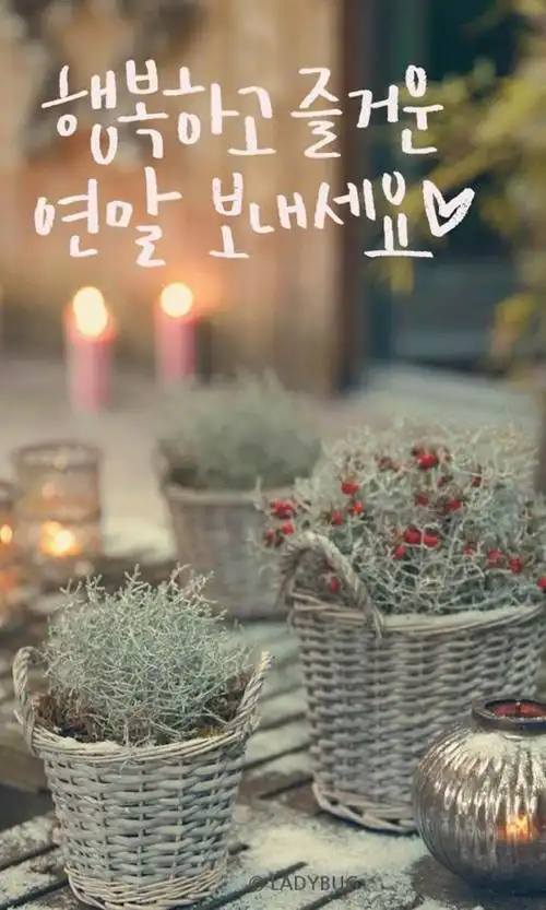 韩风壁纸 韩系 小清新 来源韩网