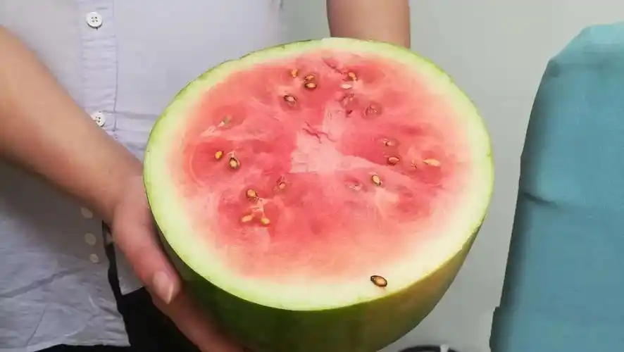 邻居代捎的西瓜不熟,还找我要瓜钱,我还要给他钱吗?